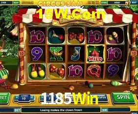 Experiência VIP 1185Win
