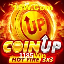 Experiência VIP 1185Win